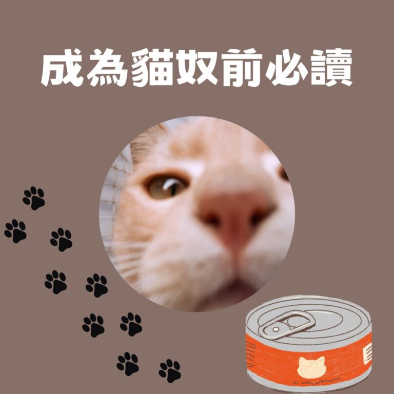 貓奴必讀